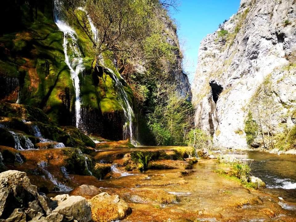 Le Studio Daire Saint-Jean-en-Royans Dış mekan fotoğraf